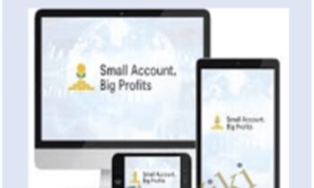 Small Account Big Profits - Walter Peters