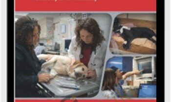 Small Animal Emergency and Critical Care: Case Studies in Client Communication