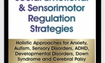 Social Emotional and Sensorimotor Regulation Strategies: Holistic Approaches for Anxiety