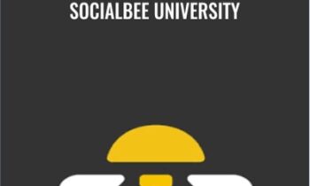 SocialBee University - SocialBee