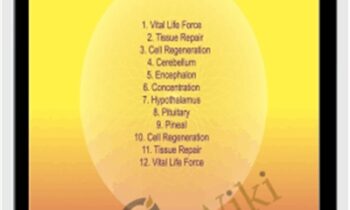 Brain - Sound Healing Center