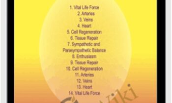 Circulatory System - Sound Healing Center