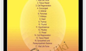 Endocrine Glands - Sound Healing Center