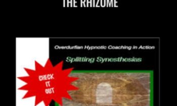Splitting Synesthesias within the Rhizome - John Overdurf