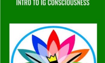 Intro To IG Consciousness - Stephane Hemon (Ideagasms)