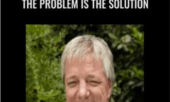 The Problem is The Solution - Stephen Gilligan