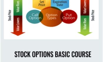 Stock Options Basic Course - Adam Khoo