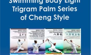 Sun Zhi Jun - Swimming Body Eight Trigram Palm Series of Cheng Style