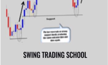 Swing Trading School - Nirvana Systems