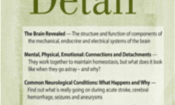 The Brain in Detail - Sean G. Smith