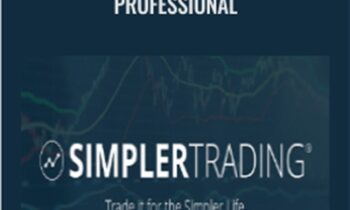 The Bullseye System Professional - Simpler Trading