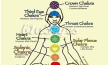 The Chakra7 System - Carol Tuttle