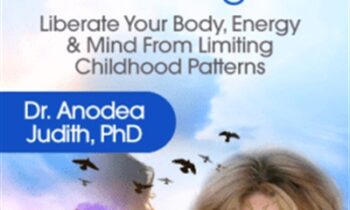 The Character Type Training - Anodea Judith