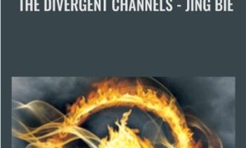 The Divergent Channels: Jing Bie - David Twicken