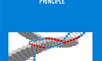 The Double Helix Presentation Principle - Kenrick Cleveland