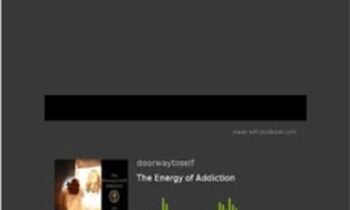 The Energy of Addiction - Sara Allen