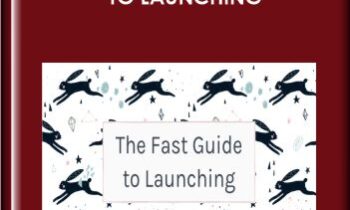 The Fast Guide to Launching - Elizabeth Goddard