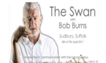 The Swan - Bob Burns