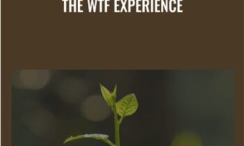The WTF Experience - Amir Zoghi