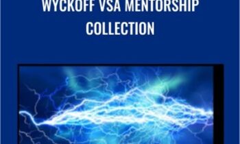 Wyckoff VSA Mentorship Collection - Tradeguider