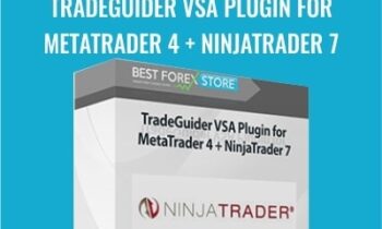Tradeguider VSA Plugin For Metatrader 4 + Ninjatrader 7 - Ninjatrader