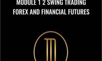 Module 1 2 Swing Trading Forex and Financial Futures - Trader Dante