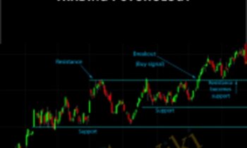 Trading Like a Pro-Trading Psychology - Tradimo