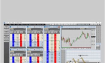 Trading Like a Pro Training - Tradimo
