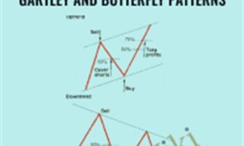 Trading Live Online Traders Toolbox For The Abcd