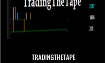 TradingTheTape (+ open code) (Dec 2013) - NinjaTrader