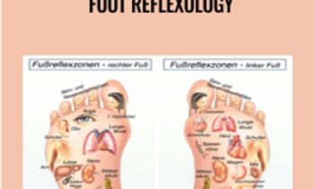Traditional Chinese Medicine - Foot Reflexology