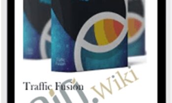 Traffic Fusion - Precious Ngwu