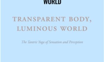 Transparent Body Luminous World - Rupert Spira