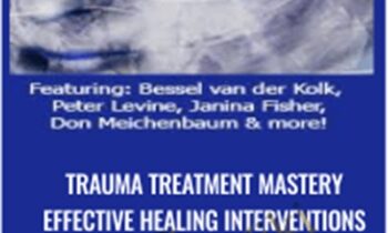 Trauma Treatment Mastery Effective Healing Interventions for The Mind and Body - Bessel van der Kolk