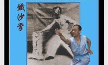 Shaolin Iron Palm - Wing Lam