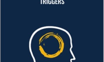 Work with Clients Emotional Triggers - NICABM