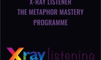 X-Ray Listener -The Metaphor Mastery Programme - Judy Rees
