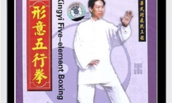 Xingyi Five Elements Boxing - Adam Hsu