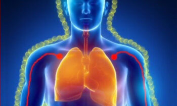 Lung Qigong - Yadi Alamin