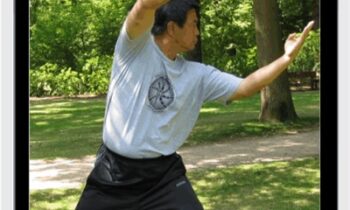 Yin Style Bagua-Seizing and Grasping - He Jinbao