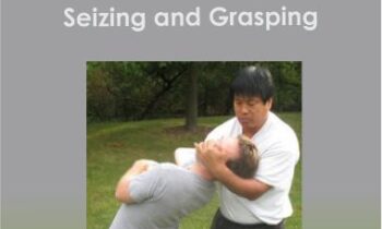 Yin Style Bagua - He Jinbao - Seizing and Grasping