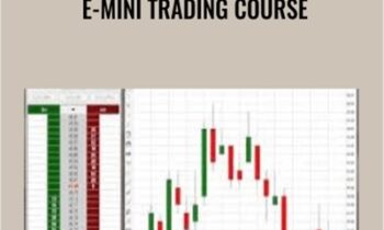 E-mini Trading Course - Zoran Kolundzic