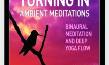 Turning In-Ambient Meditations - iAwake