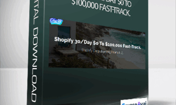 Evan - Shopify 30/Day $0 To $100