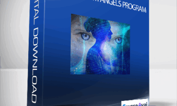 Burt Goldman - The Quantum Angels Program