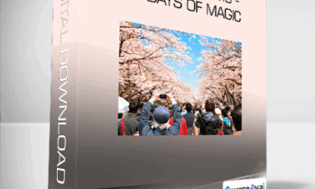 Sky Blossoms - 10 Days of Magic
