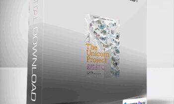 Gene Kim - The Unicorn Project