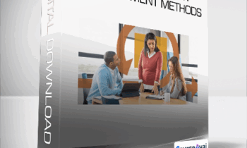 Linkedin - Blending Project Management Methods