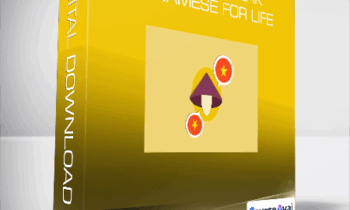 Learn to Speak Vietnamese for Life
