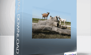 Deborah Niemann - Goats 101